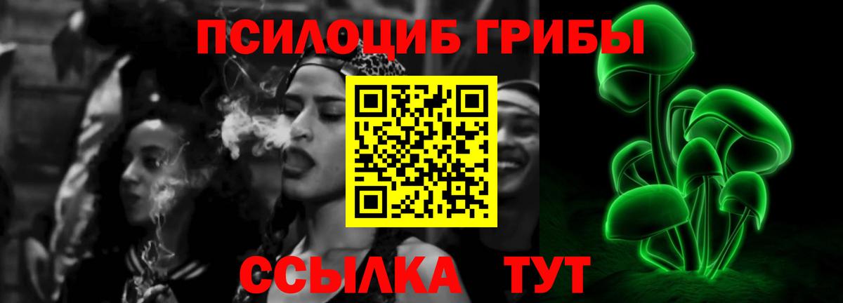 Гагарин  Псилоцибиновые грибы Psilocybine cubensis  Вход с VPN  Галлюциногенные грибы MAGIC MUSHROOMS 